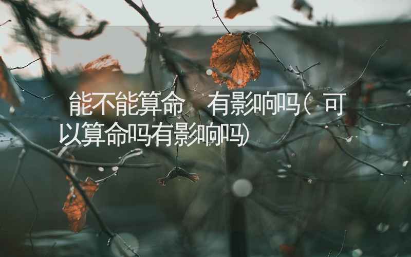 能不能算命 有影响吗(可以算命吗有影响吗)